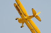 FMS, DYNAM, VOLANTEX PLANES